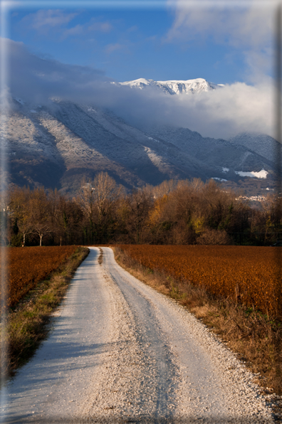 foto Pendici del Monte Grappa in Inverno